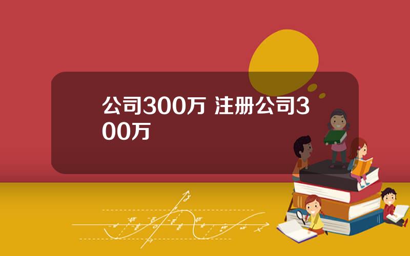 公司300万 注册公司300万